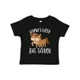 thumbnail image 1 of Inktastic Big Sister Girls Toddler T-Shirt, 1 of 5