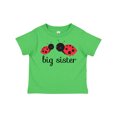 thumbnail image 1 of Inktastic Big Sister Girls Toddler T-Shirt, 1 of 5