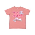 thumbnail image 1 of Inktastic Big Sister Owls Girls Toddler T-Shirt, 1 of 5