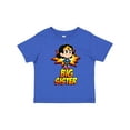 thumbnail image 1 of Inktastic Big Sister Superhero Girls Toddler T-Shirt, 1 of 5