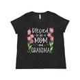 thumbnail image 1 of Inktastic Blessed to Be a Mom and Grandma Pink Flowers Women's Plus Size T-Shirt, 1 of 5