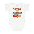 thumbnail image 1 of Inktastic Bloodhound Loved by a (dog Breed) Boys or Girls Baby Bodysuit, 1 of 5