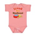 thumbnail image 1 of Inktastic Bloodhound Loved by a (dog Breed) Boys or Girls Baby Bodysuit, 1 of 5