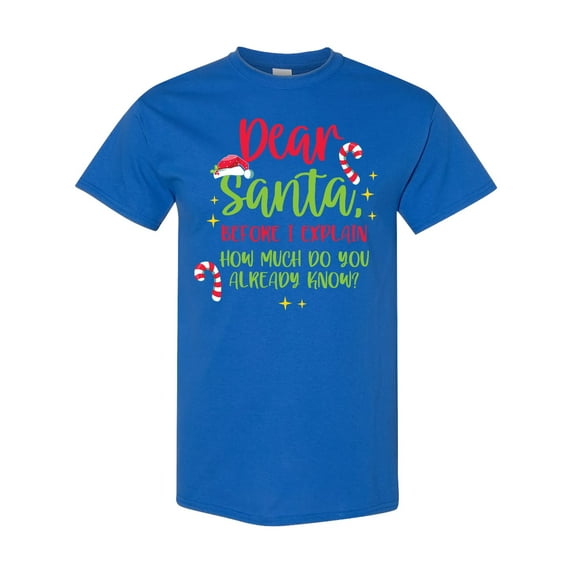 Inktastic Christmas Dear, Santa Before I Explain How Much Do You Know? T-Shirt
