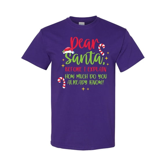 Inktastic Christmas Dear, Santa Before I Explain How Much Do You Know? T-Shirt