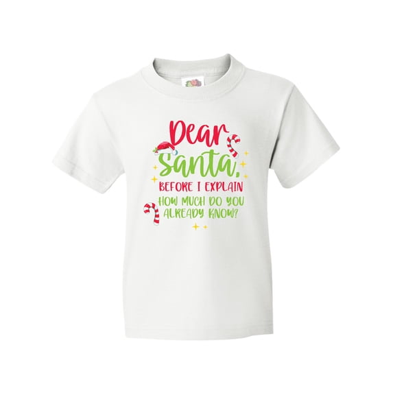 Inktastic Christmas Dear, Santa Before I Explain How Much Do You Know? Youth T-Shirt