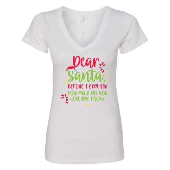 Inktastic Christmas Dear, Santa Before I Explain How Much Do You Know? Women's V-Neck T-Shirt