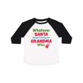 thumbnail image 1 of Inktastic Christmas Whatever Santa Doesn't Bring Me Grandma Will Boys or Girls Toddler T-Shirt, 1 of 5