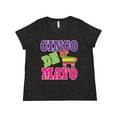 thumbnail image 1 of Inktastic Cinco De Mayo Cute Fiesta Pinata Women's Plus Size T-Shirt, 1 of 5