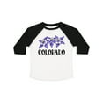 thumbnail image 1 of Inktastic Colorado Columbine Flowers Boys or Girls Toddler T-Shirt, 1 of 5