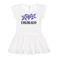 thumbnail image 1 of Inktastic Colorado Columbine Flowers Girls Baby Dress, 1 of 5
