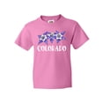 thumbnail image 1 of Inktastic Colorado Columbine Flowers Youth T-Shirt, 1 of 5