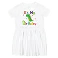 thumbnail image 1 of Inktastic Dinosaur Birthday Party Girls Toddler Dress, 1 of 5