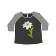thumbnail image 1 of Inktastic Edelweiss- Flower Women's Plus Size T-Shirt, 1 of 5