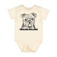 thumbnail image 1 of Inktastic English Bulldog Sketch Portrait with Dog Breed Name Boys or Girls Baby Bodysuit, 1 of 5