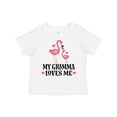 thumbnail image 1 of Inktastic Gramma Loves Me Girl Flamingo Girls Toddler T-Shirt, 1 of 5