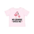 thumbnail image 1 of Inktastic Grammie Loves Me Girl Flamingo Girls Toddler T-Shirt, 1 of 5