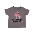 thumbnail image 1 of Inktastic Grammie Loves Me Girl Flamingo Girls Toddler T-Shirt, 1 of 5