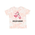 thumbnail image 1 of Inktastic Grammy Loves Me Flamingo Grandchild Girls Toddler T-Shirt, 1 of 5