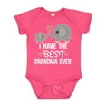 thumbnail image 1 of Inktastic Grandchild Best Grandma Ever Boys or Girls Baby Bodysuit, 1 of 5