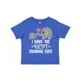 thumbnail image 1 of Inktastic Grandkids Best Grammie Ever Boys or Girls Toddler T-Shirt, 1 of 5