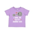 thumbnail image 1 of Inktastic Grandkids Best Grammy Ever Gift Boys or Girls Toddler T-Shirt, 1 of 5