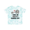 thumbnail image 1 of Inktastic Grandkids Best Grandma Ever Boys or Girls Toddler T-Shirt, 1 of 5