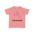 thumbnail image 1 of Inktastic Grandma Loves Me Flamingo Grandchild Gift Girls Toddler T-Shirt, 1 of 5