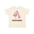 thumbnail image 1 of Inktastic Grandma Loves Me Flamingo Grandchild Gift Girls Toddler T-Shirt, 1 of 5