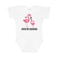 thumbnail image 1 of Inktastic Grandma Loves Me Flamingo Grandchild Girls Baby Bodysuit, 1 of 5
