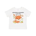 thumbnail image 1 of Inktastic Grandma and Grandpa Love Me- Little Fox Boys or Girls Toddler T-Shirt, 1 of 5