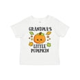 thumbnail image 1 of Inktastic Grandmas Little Pumpkin with Leaves and Stars Boys or Girls Toddler T-Shirt, 1 of 5