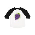 thumbnail image 1 of Inktastic Grapes Vineyard Fruit Grape Grower Boys or Girls Toddler T-Shirt, 1 of 5