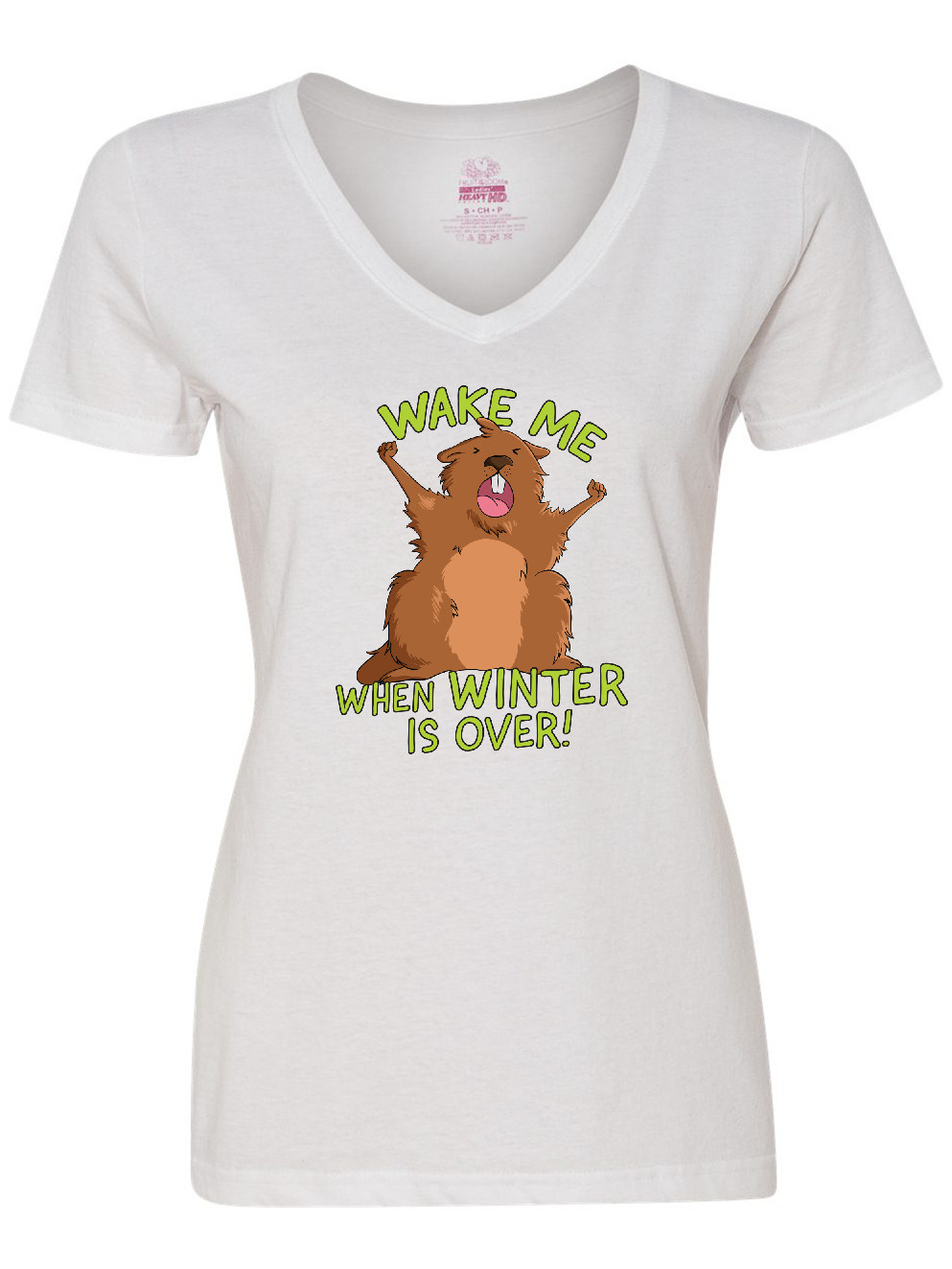 Inktastic Groundhog Day Wake Me when Winter is over Women's V-Neck T-Shirt - image 1 of 4