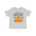 thumbnail image 1 of Inktastic I'm Going to Be a Big Sister- Cute Halloween Pumpkin Girls Toddler T-Shirt, 1 of 5