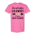 thumbnail image 1 of Inktastic I'm Not Only a Grammy I'm a Great Grammy with Flowers T-Shirt, 1 of 5