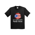 thumbnail image 1 of Inktastic I'm So Cute, I Must Be Puerto Rican Sunflower Puerto Rico Youth T-Shirt, 1 of 5