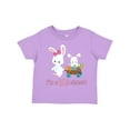 thumbnail image 1 of Inktastic I'm a Big Sister Girls Toddler T-Shirt, 1 of 5