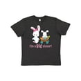 thumbnail image 1 of Inktastic I'm a Big Sister Youth T-Shirt, 1 of 5