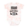 thumbnail image 1 of Inktastic Idaho Awesome Since 1890 Boys or Girls Baby Bodysuit, 1 of 5