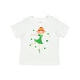 thumbnail image 1 of Inktastic Irish Princess St Patricks Girls Girls Toddler T-Shirt, 1 of 5