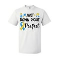 thumbnail image 1 of Inktastic Just Down RIght Perfect Down Syndrome Awareness Ribbon T-Shirt, 1 of 5