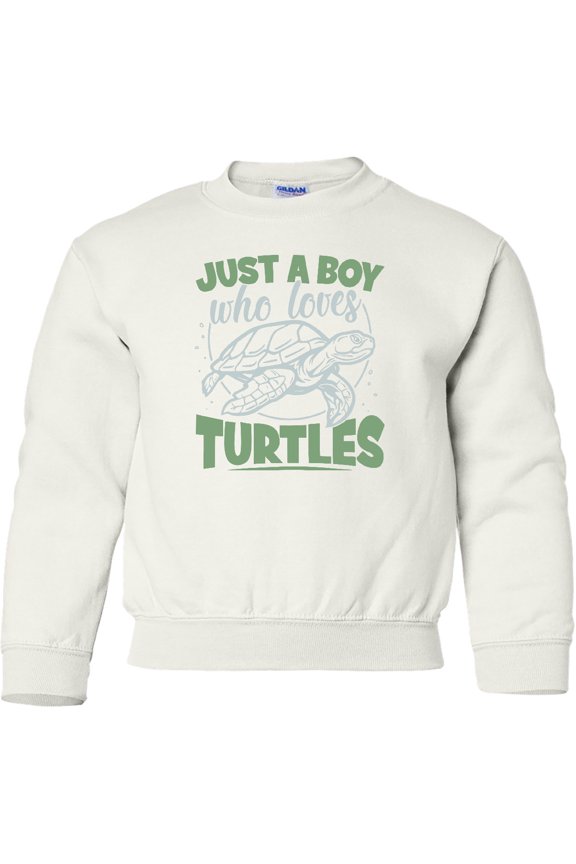 Just a Boy Who Loves Turtles Youth Sweatshirt