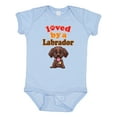thumbnail image 1 of Inktastic Labrador Chocolate Lab Boys or Girls Baby Bodysuit, 1 of 5