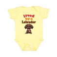 thumbnail image 1 of Inktastic Labrador Chocolate Lab Boys or Girls Baby Bodysuit, 1 of 5