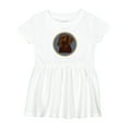 thumbnail image 1 of Inktastic Labrador Retriever Chocolate Lab Dog Girls Baby Dress, 1 of 5