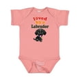 thumbnail image 1 of Inktastic Labrador Retriever Dog Black Lab Boys or Girls Baby Bodysuit, 1 of 5