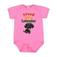 thumbnail image 1 of Inktastic Labrador Retriever Dog Black Lab Boys or Girls Baby Bodysuit, 1 of 5
