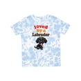 thumbnail image 1 of Inktastic Labrador Retriever Dog Black Lab Boys or Girls Toddler T-Shirt, 1 of 5