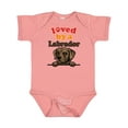 thumbnail image 1 of Inktastic Labrador Retriever Dog Gift Boys or Girls Baby Bodysuit, 1 of 5